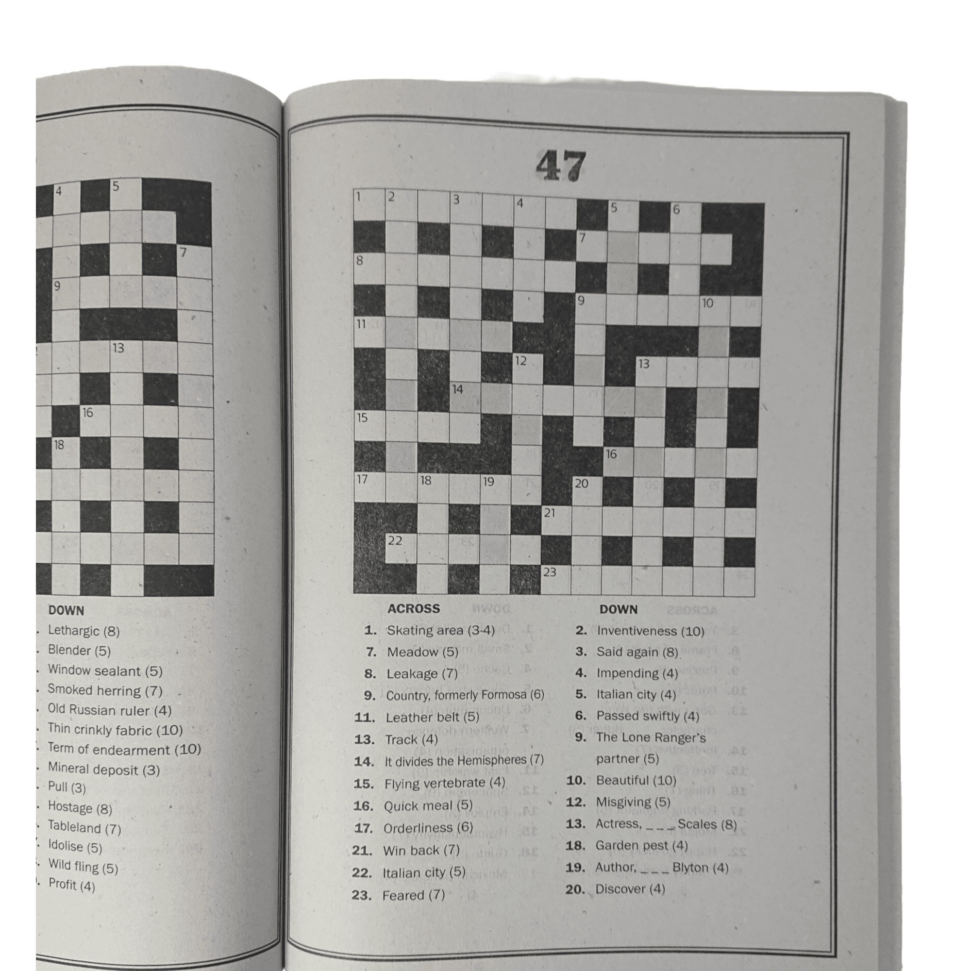 an example of one of the large print or large writing crossword puzzles