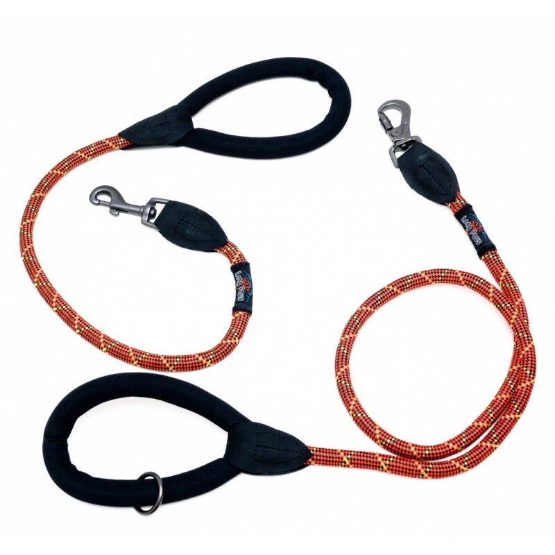 orange dog rope leads