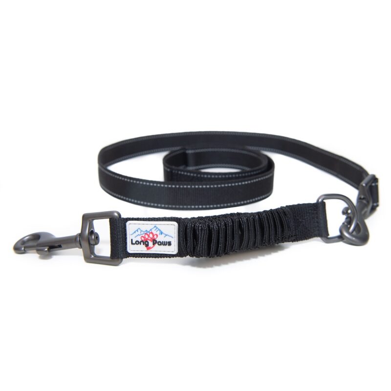 lead extender attached to a dog lead