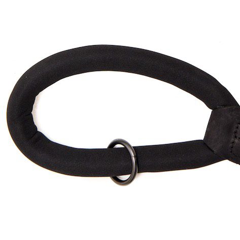 handle with metal loop on the comfort dog lead