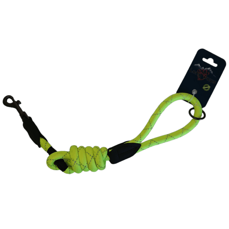 neon dog rope lead