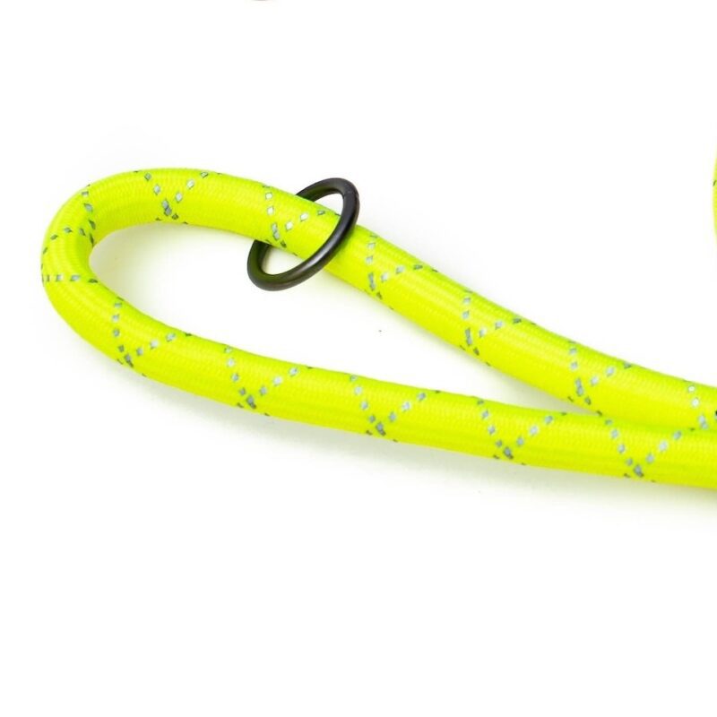 handle on the neon urban trek rope dog leash