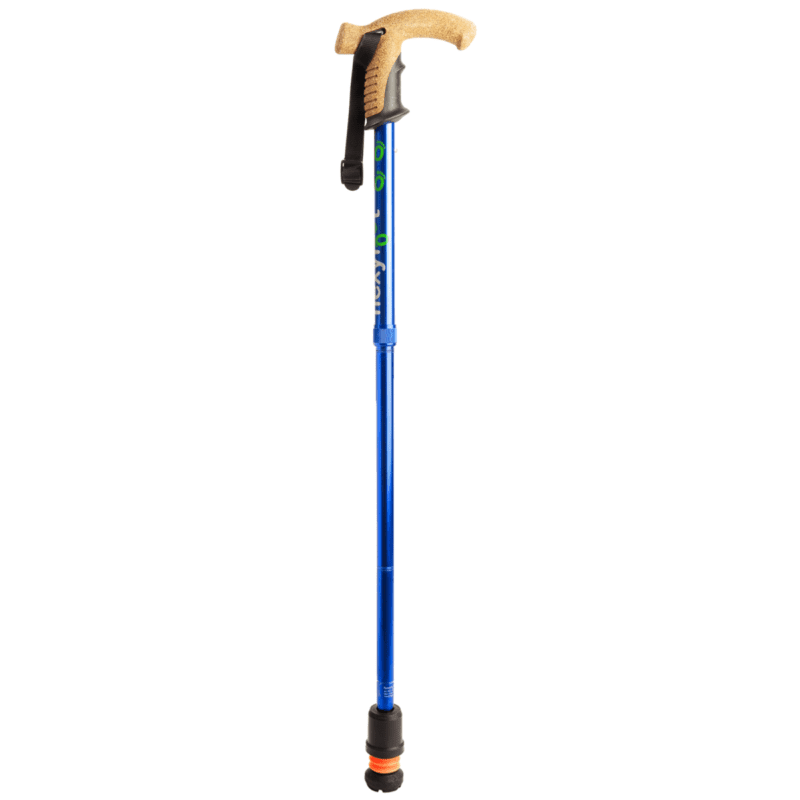Blue folding walking stick with cork handle from flexyfoot
