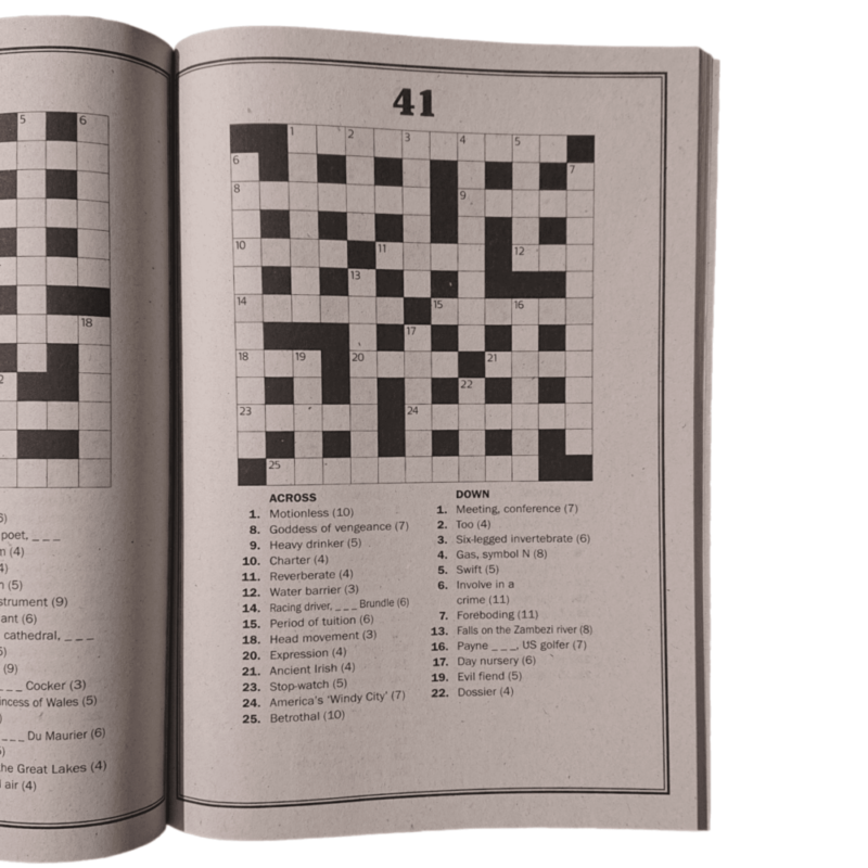 Large print crossword puzzle