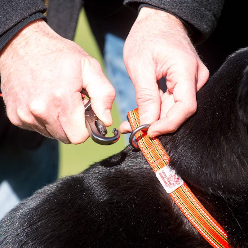 how to use the karabiner safety clip on the Long Paws comfort leads/leashes