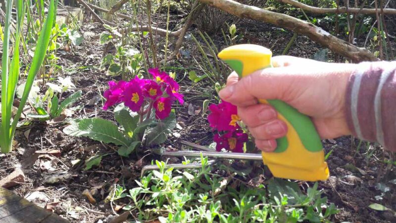 Peta easi grip ergonomic garden cultivator rake tool in use in the garden