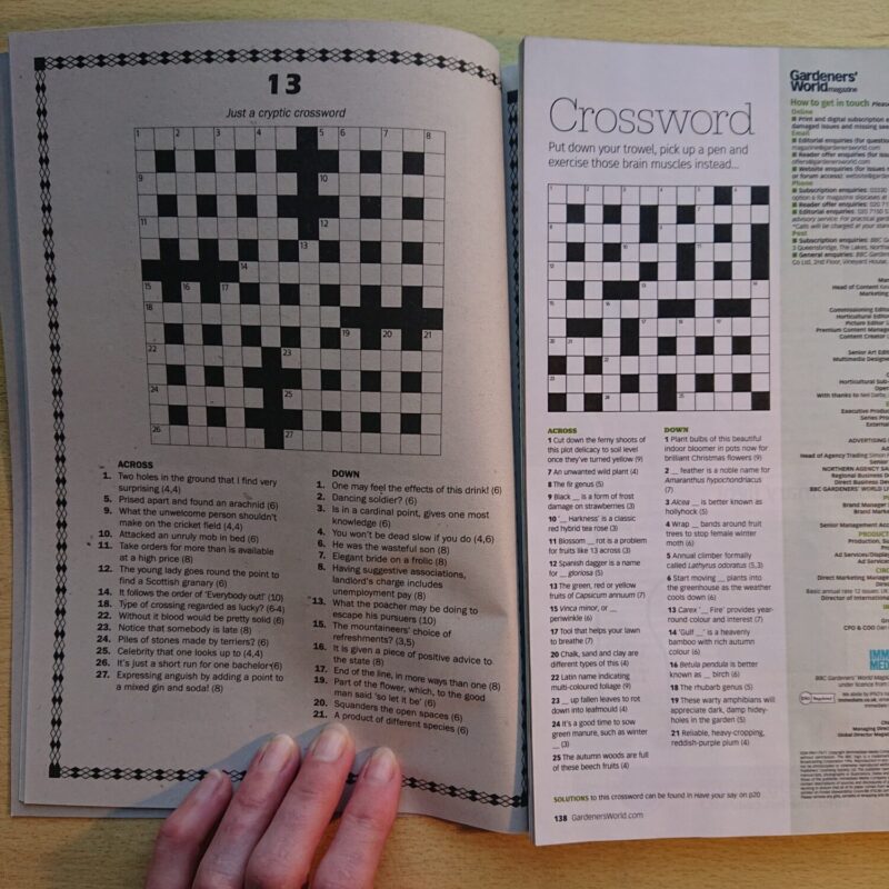 Comparing a large print puzzle to a magazine puzzle to show the difference in text and grid size